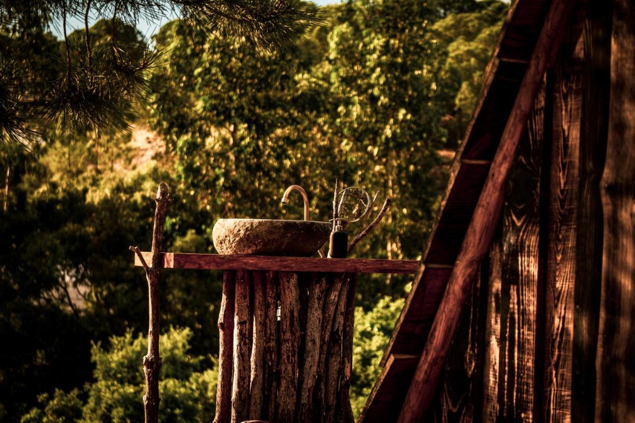 Quinta Alma - Ecological Retreat Farm Hotel Aljezur Ngoại thất bức ảnh