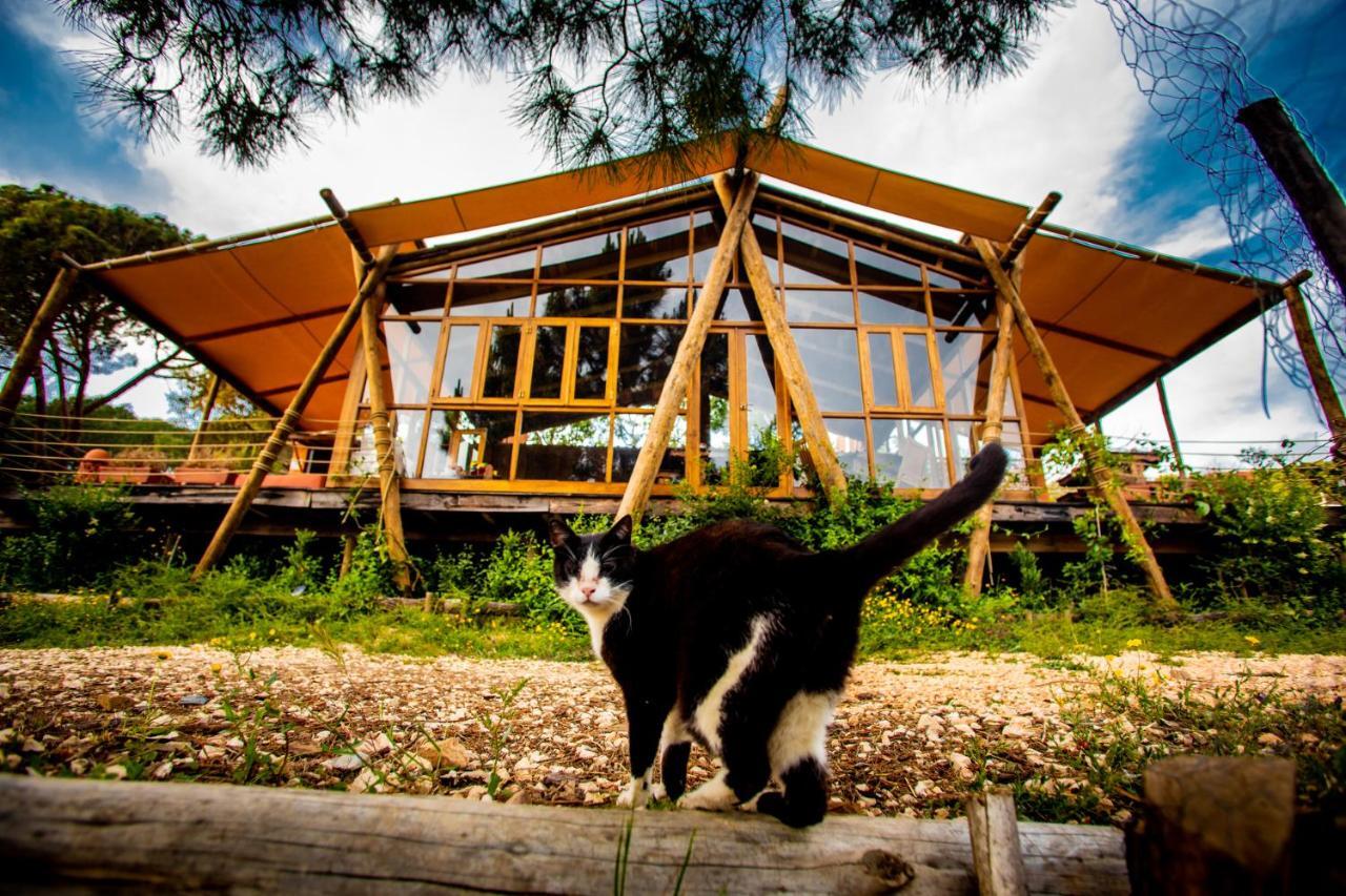 Quinta Alma - Ecological Retreat Farm Hotel Aljezur Ngoại thất bức ảnh